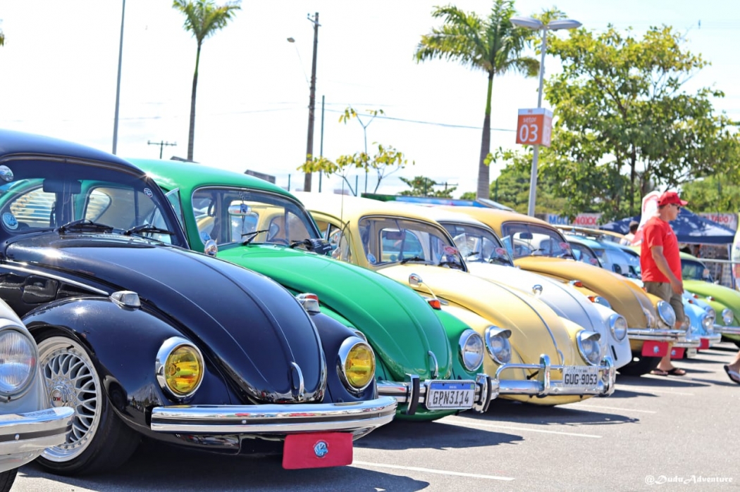 Dia do Fusca: confira as dicas essenciais para a manutenção dessa paixão automotiva