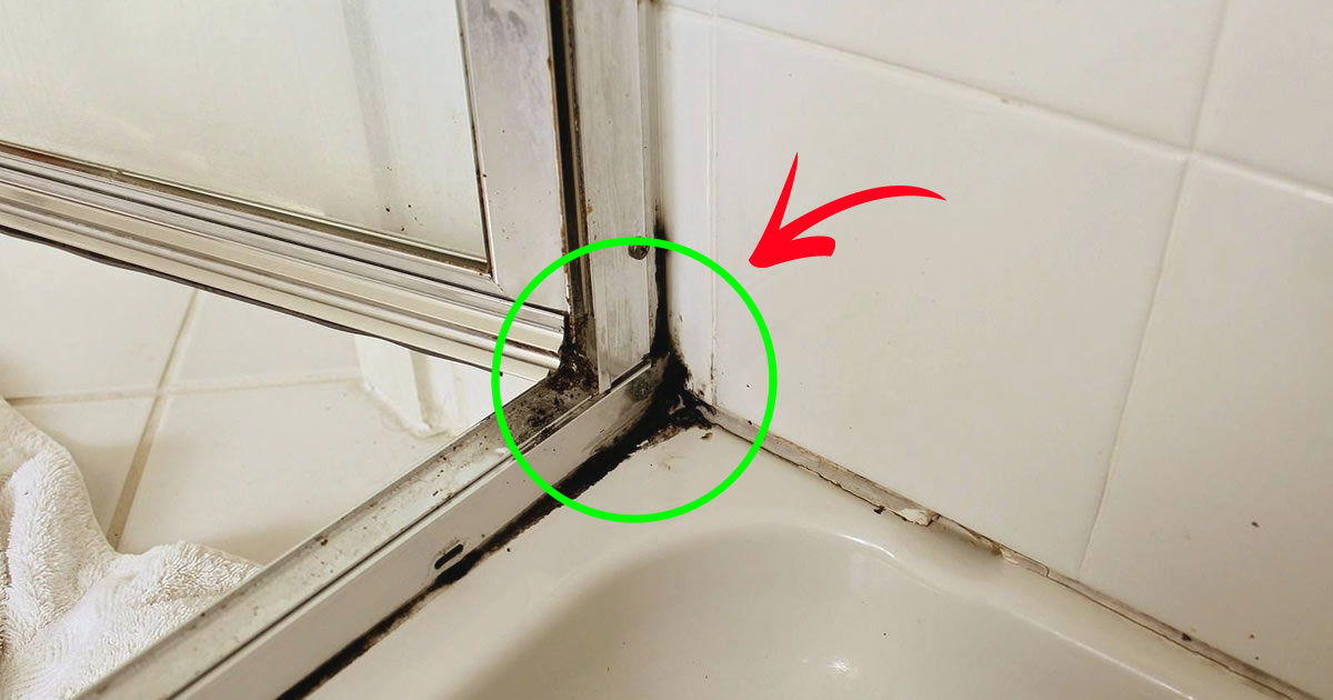 Conheça a maneira mais rápida de remover o incômodo mofo do silicone do chuveiro