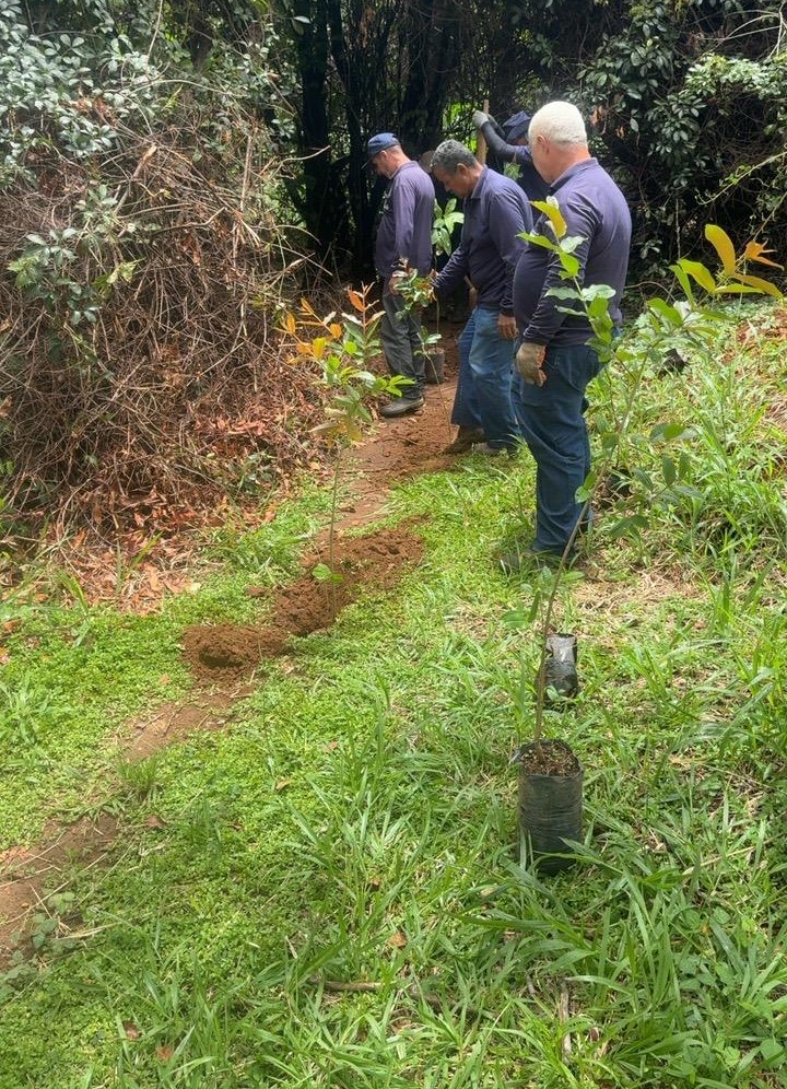 Parque dos Trabalhadores recebe 120 mudas e reforça reflorestamento em Franca