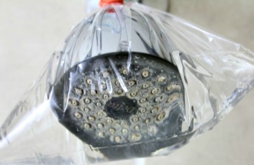 Sem gastar um real: veja 3 dicas caseiras para eliminar furos entupidos do chuveiro - Jornal da Franca