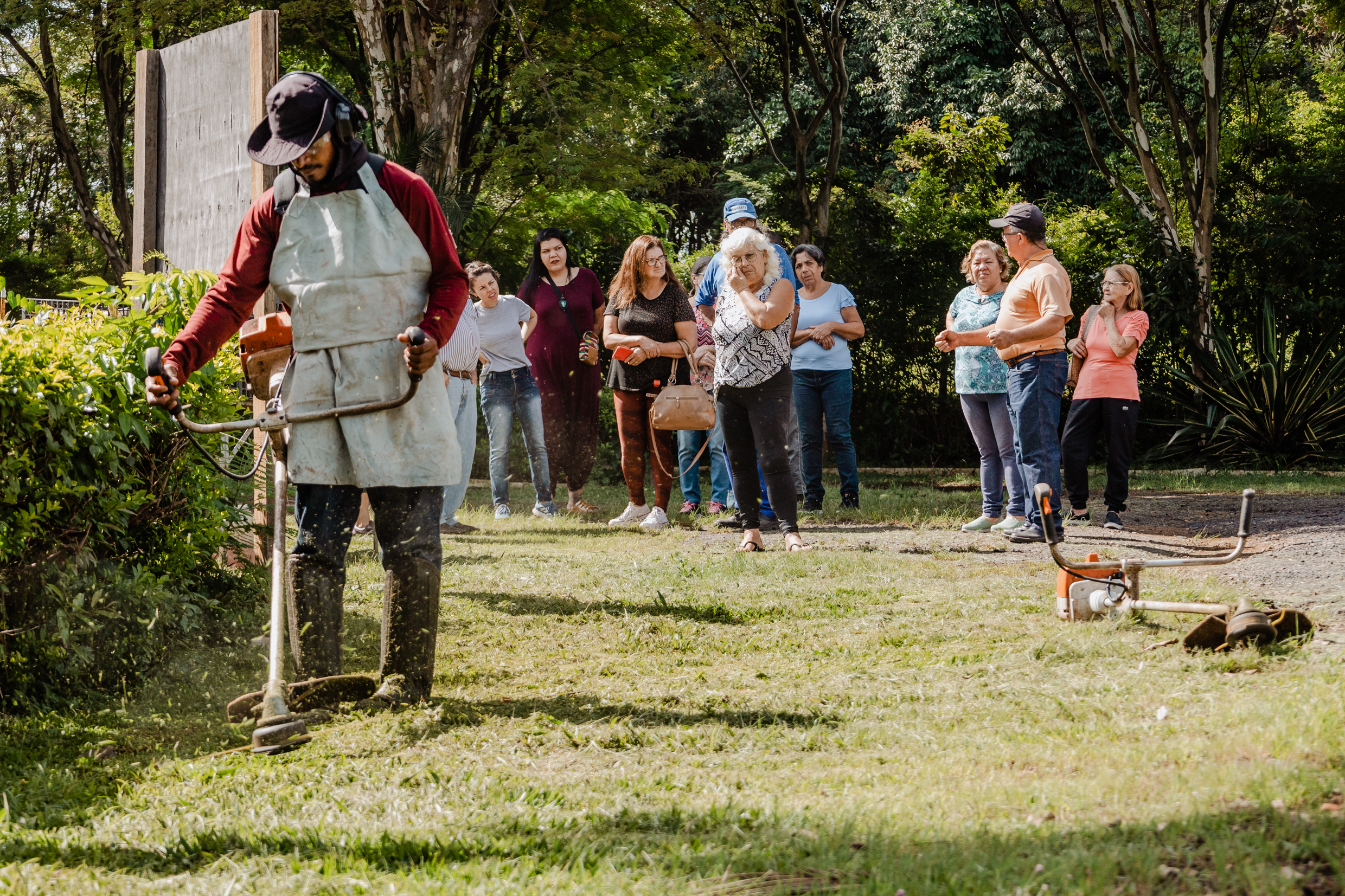 FUSSOL abre inscrições para cursos gratuitos em jardinagem, confeitaria e mais