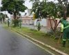 Veja o plano do Meio Ambiente para fazer poda e roçada nas áreas públicas de Franca - Jornal da Franca