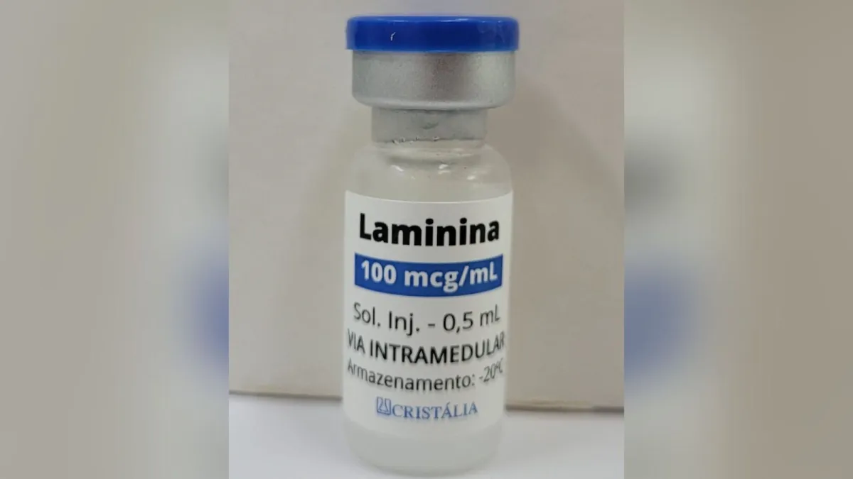 O que é a Polilaminina: conheça substância usada para tratar lesão medular