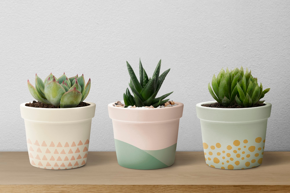 Aprenda como obter uma grana extra vendendo e cuidando de plantas em casa