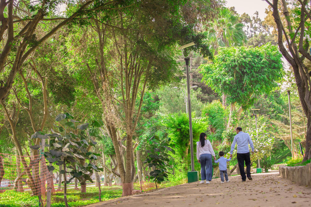 Ribeirão Corrente vai receber quase R$ 700 mil para construir parque ecológico