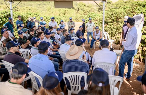 Dia de Campo, da Fundação Procafé, volta a Franca em abril: veja quando - Jornal da Franca