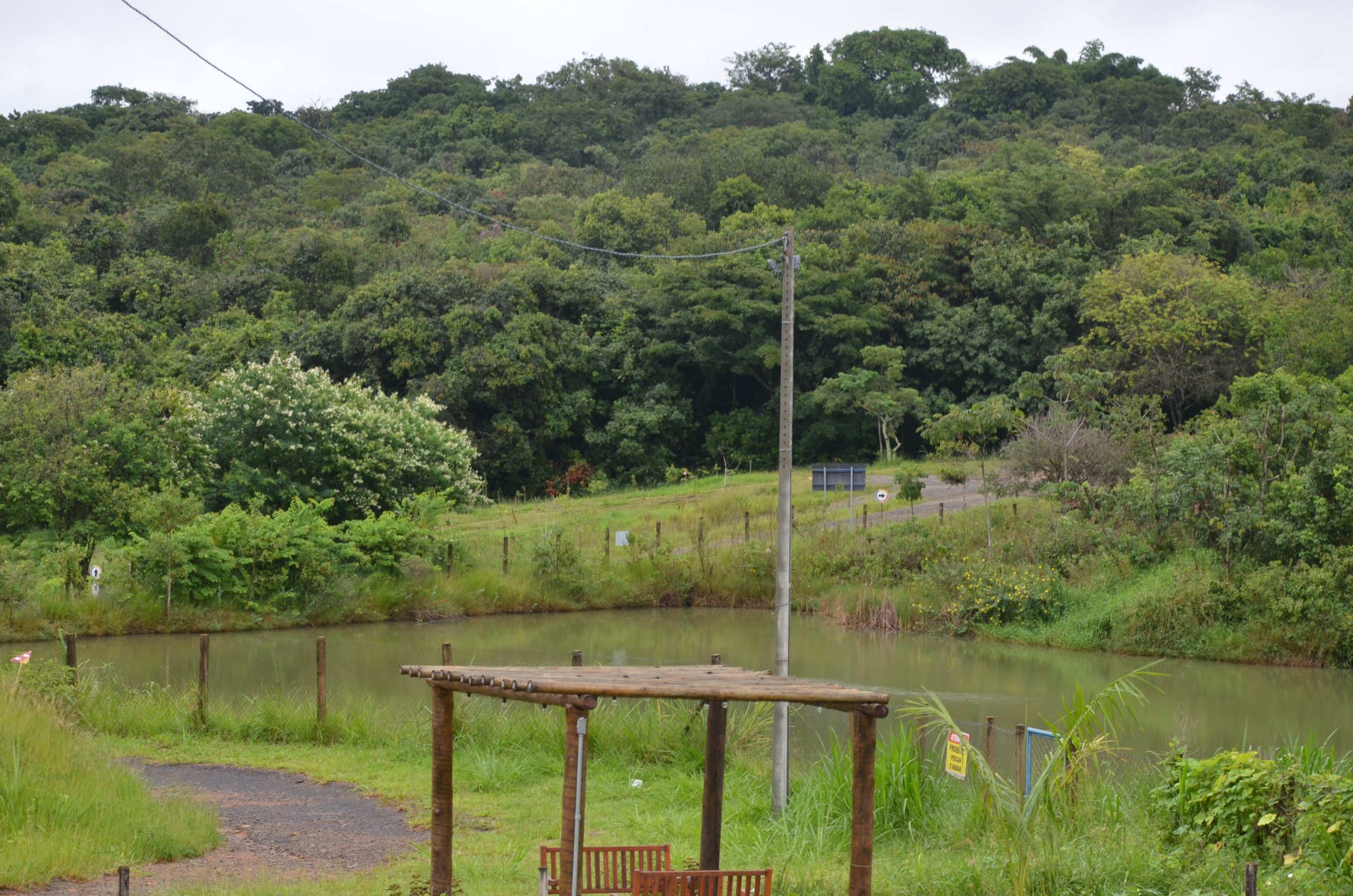 Ação ambiental vai plantar 300 árvores no Parque dos Trabalhadores de Franca
