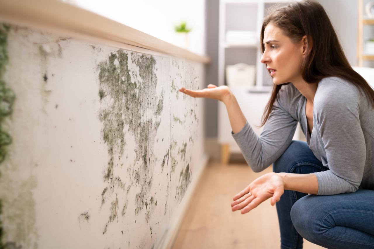 Tempo úmido e paredes com mofo? Confira como eliminar o problema de vez