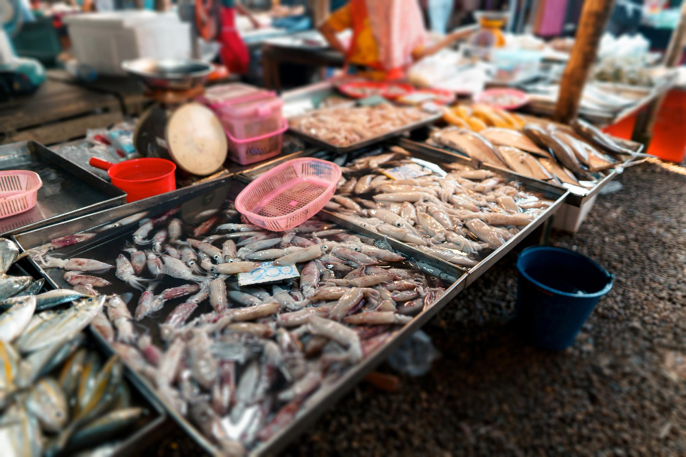 Vigilância Sanitária alerta para cuidados na escolha de pescados durante a Páscoa
