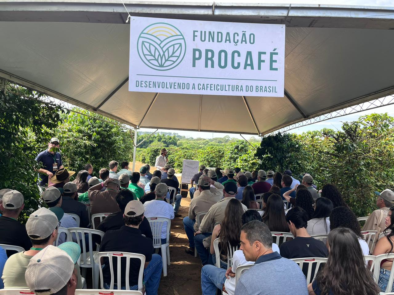 Dia de Campo da Procafé em Franca reúne mais de mil pessoas do setor cafeeiro