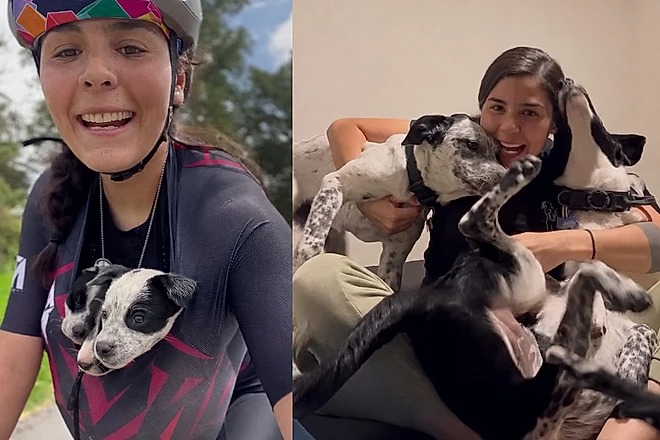 Ciclista encontra filhotes abandonados, decide ficar com eles, e gesto muda sua vida