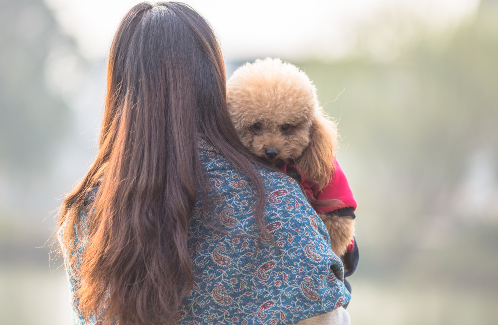 Aprenda a identificar sinais escondidos nas dores crônicas de seu cão de estimação