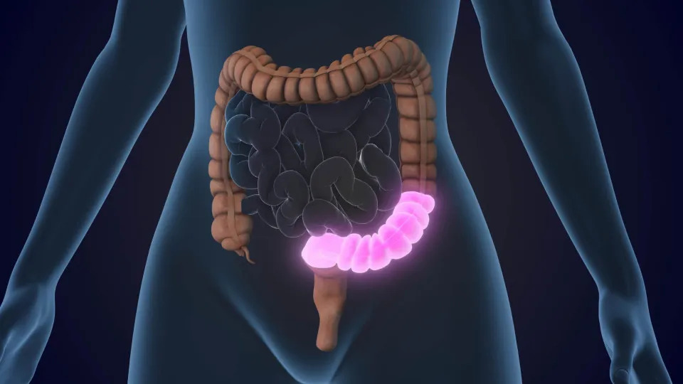 Veja 4 regras obrigatórias para proteger o intestino ao tomar antibióticos