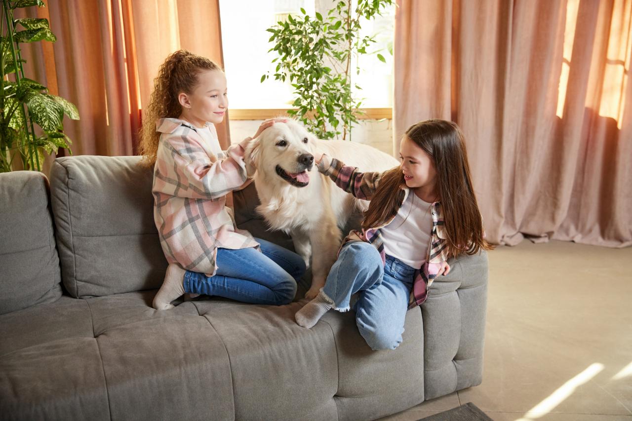 Afeto, companhia e conforto: Veja como os pets ajudam no bem-estar emocional