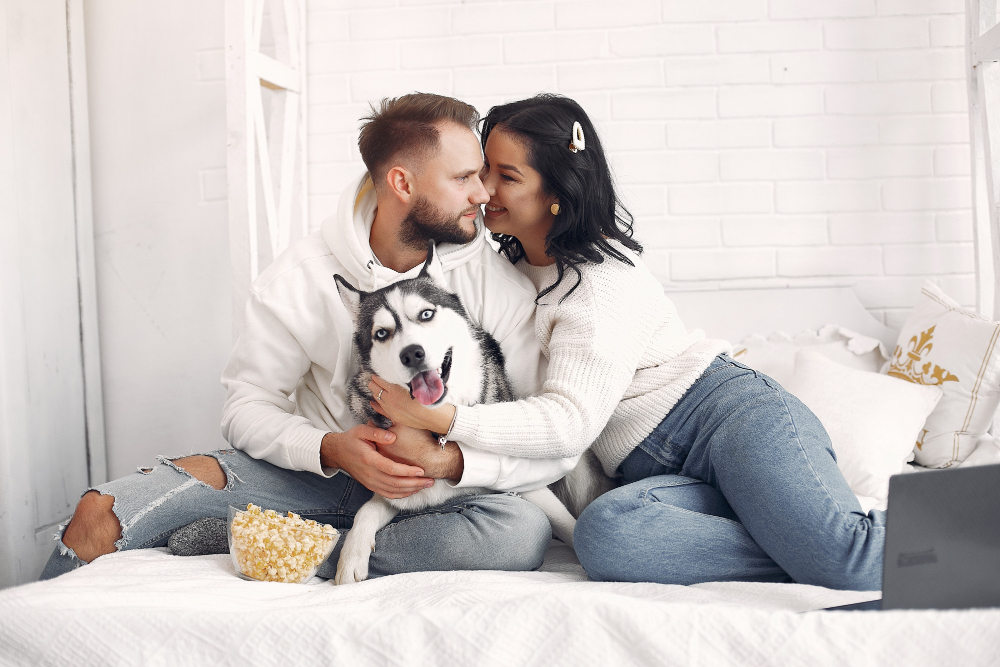 Dia dos Namorados: quando o pet se torna o verdadeiro terceiro elemento da relação