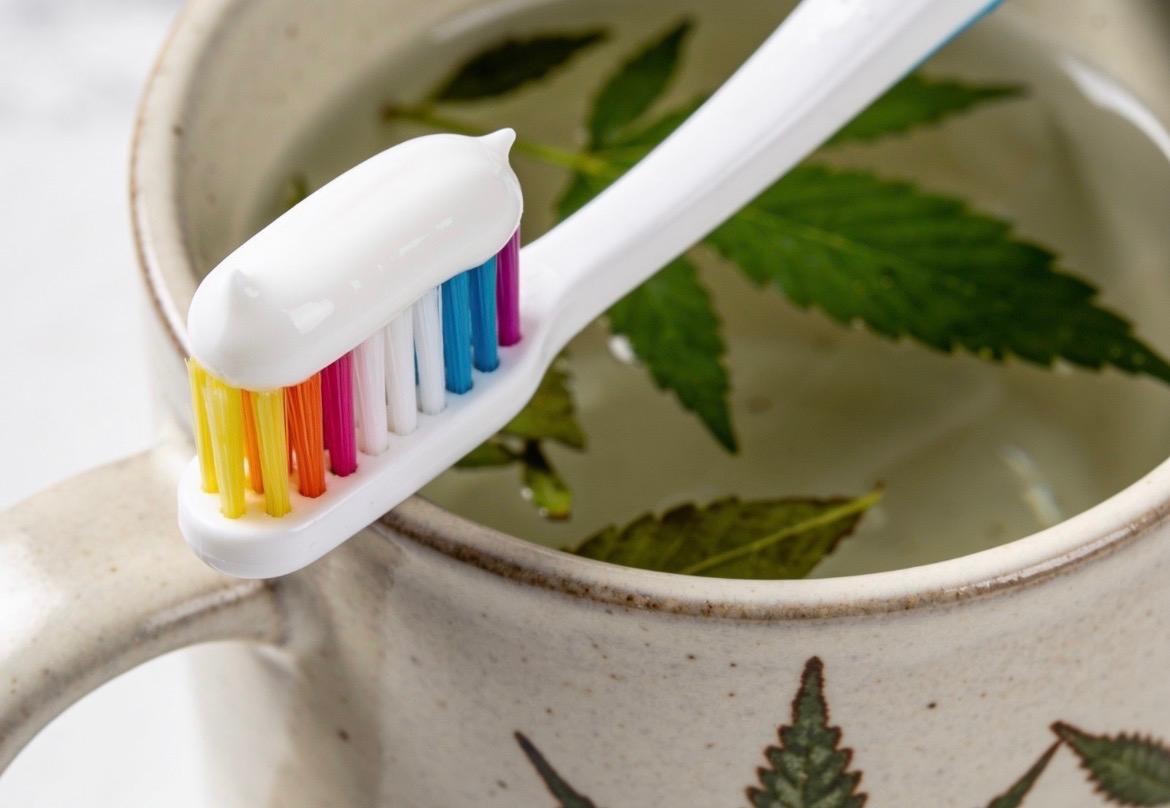 Ervas medicinais e saúde bucal: opções naturais no cuidado das doenças orais