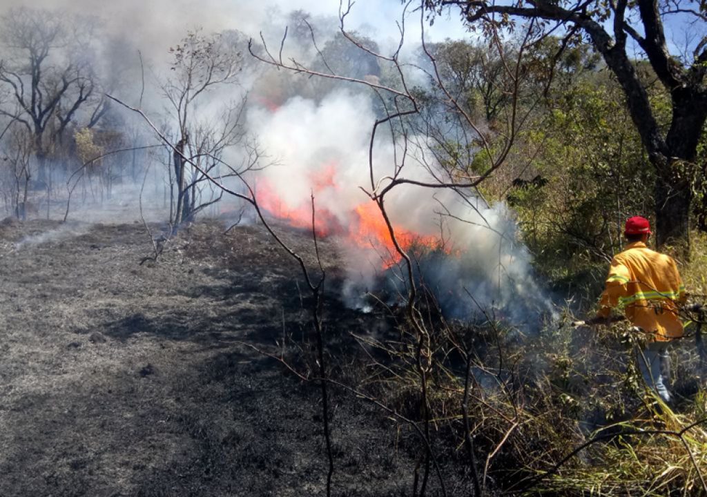 Veja o que a Defesa Civil está fazendo para encarar o tempo de estiagem e incêndios