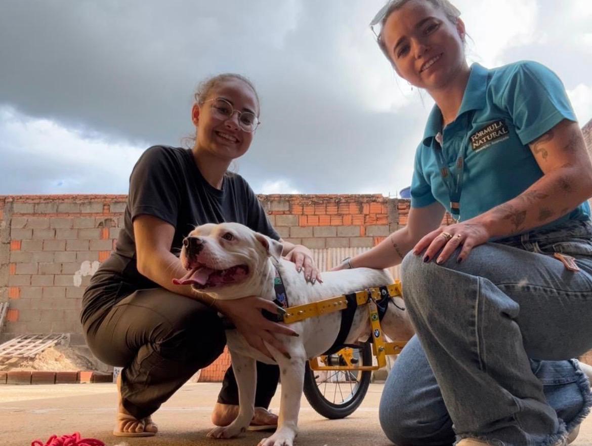 A história da cachorrinha deficiente que saiu do Canil de Franca para um lar amoroso