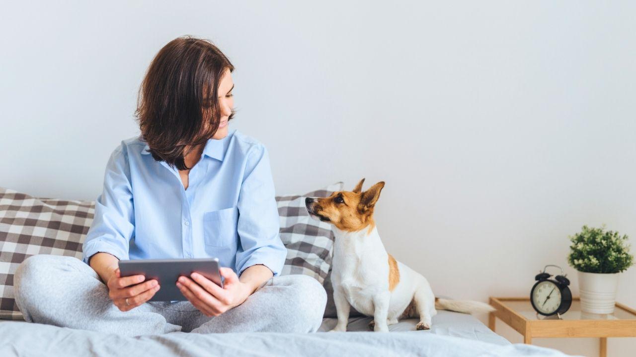 Socialização: como o dia a dia molda o comportamento dos pets