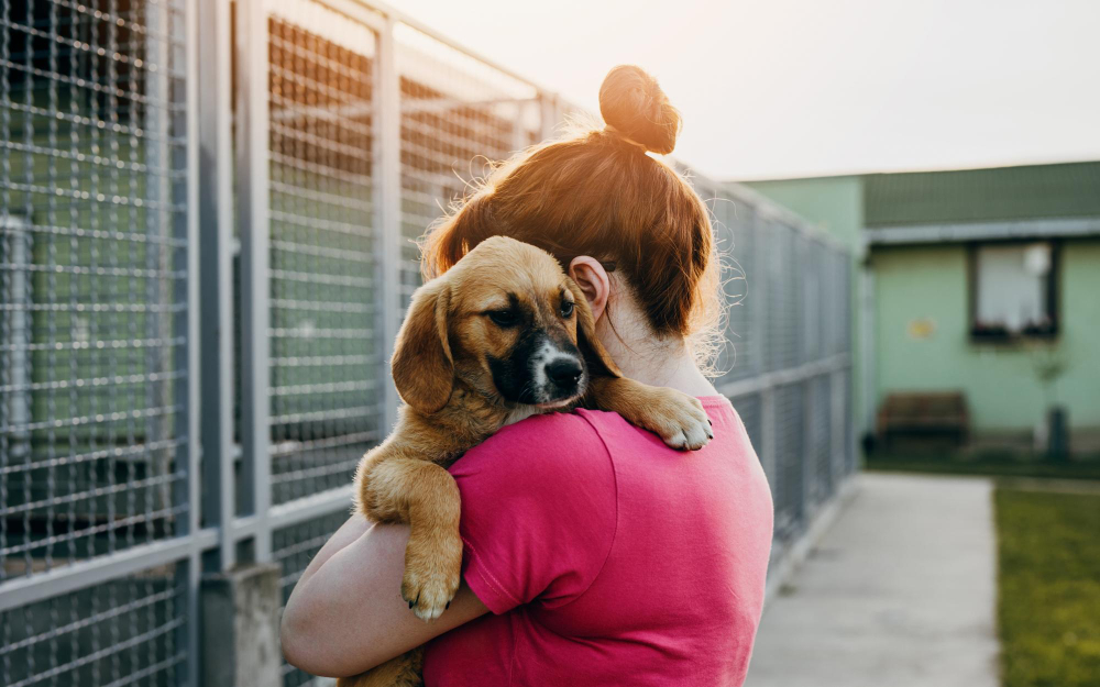 Animais de estimação ajudam a combater ansiedade, depressão e a solidão