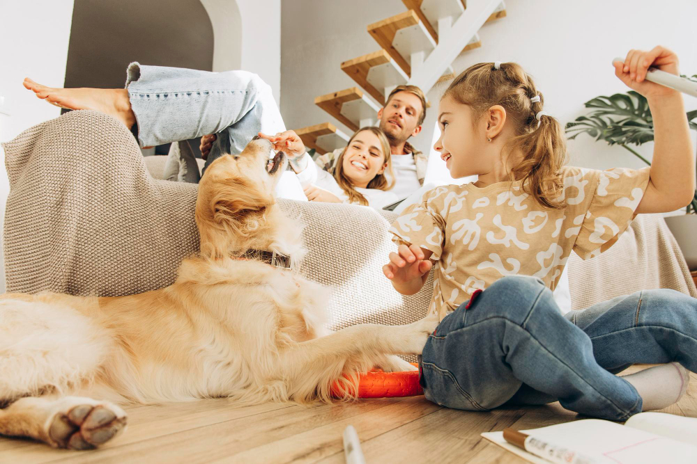 Entre viagens e brincadeiras: o que muda para os pets durante as férias escolares