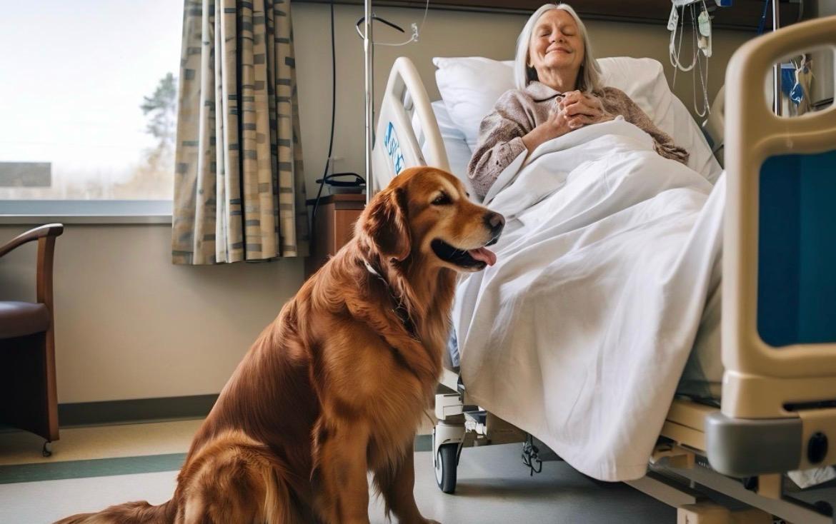 Estudo destaca benefícios do tratamento assistido por animais na reabilitação de AVC