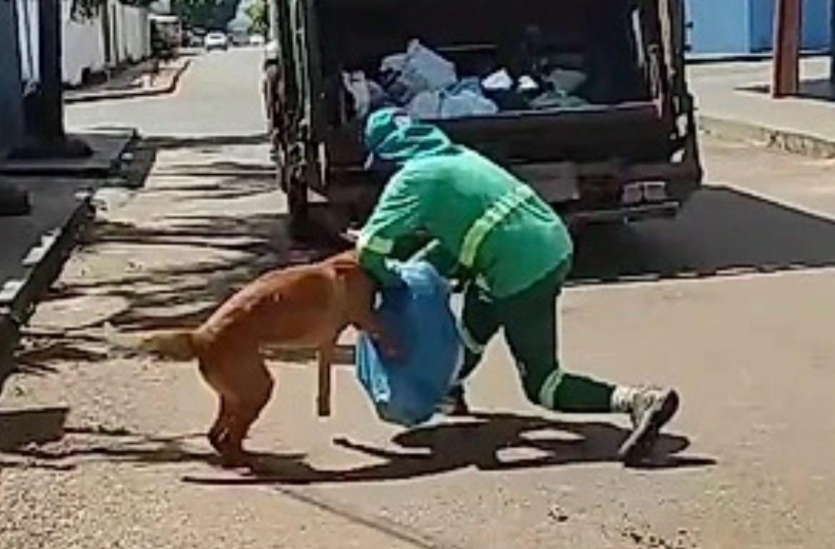 Conheça Mazzaropi, o cachorro “desajudante” de garis que está ficando famoso