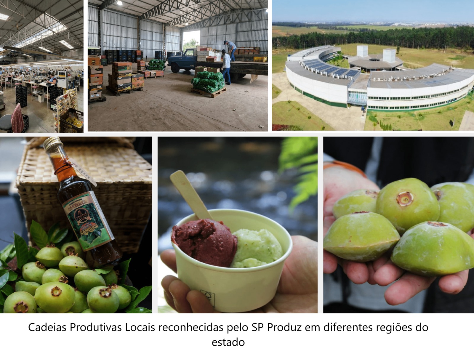 Cadeias Produtivas Locais fortalecem a economia em cidades do interior paulista