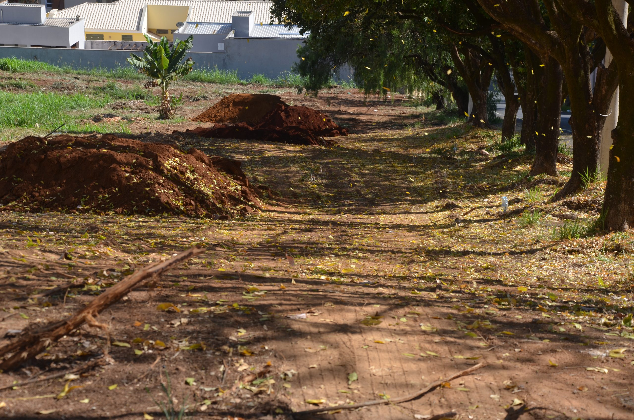 Parque dos Lima recebe obras de calçamento do programa Calçada Segura em Franca