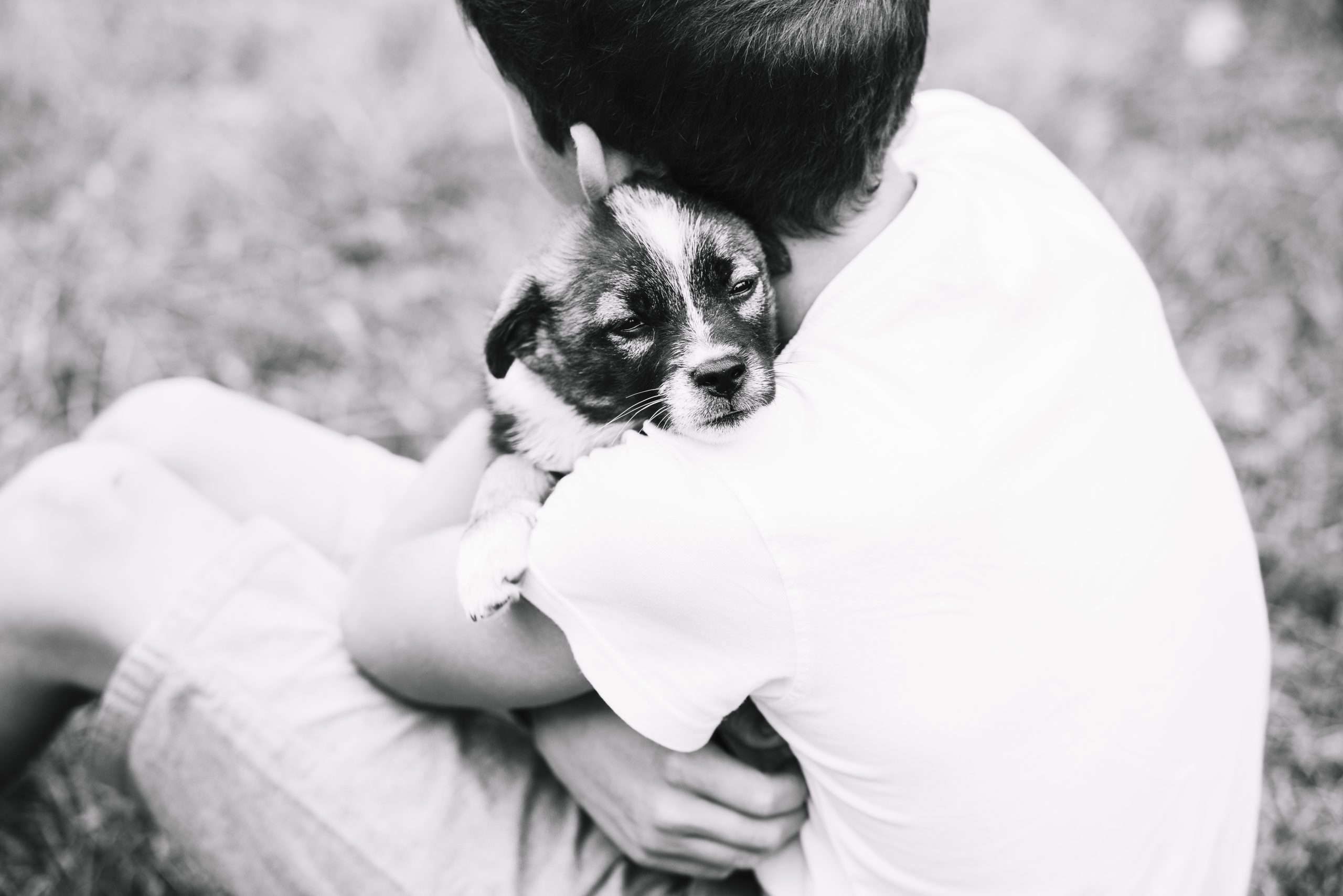 Como lidar com a morte de um cachorro? Veja formas de acolher o luto e a saudade