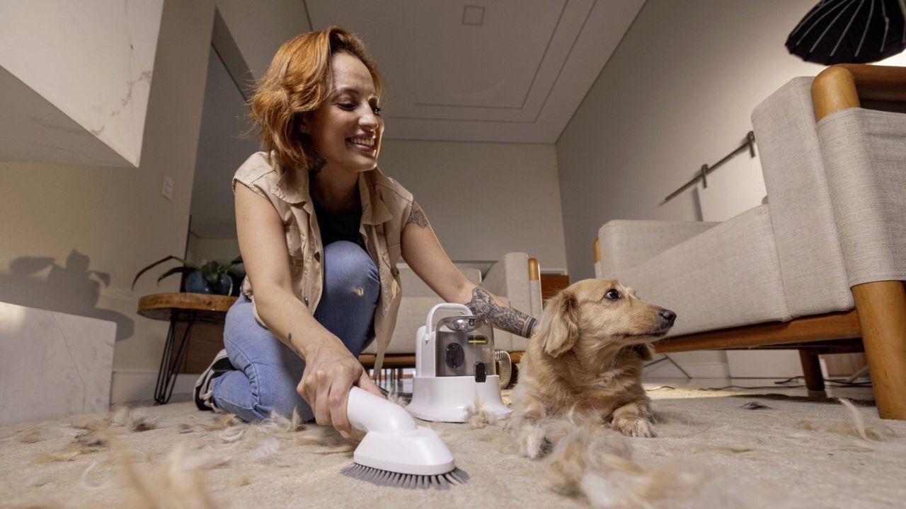 Como acabar com pelos de pets pela casa? Veja as melhores dicas de limpeza!