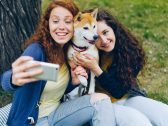 Ranking inédito: Conheça os cinco “Influencers Pet” com mais destaque no Instagram