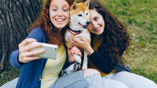 Ranking inédito: Conheça os cinco “Influencers Pet” com mais destaque no Instagram