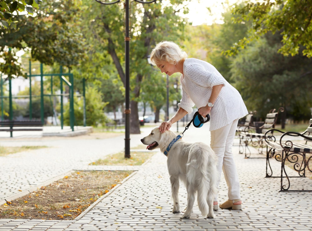 Raças de cachorros amorosos e dóceis para quem mora sozinho e se sente muito sozinho