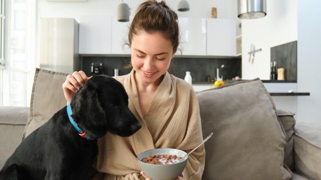 Do banho à alimentação: onde os tutores podem reduzir gastos com os animais de estimação