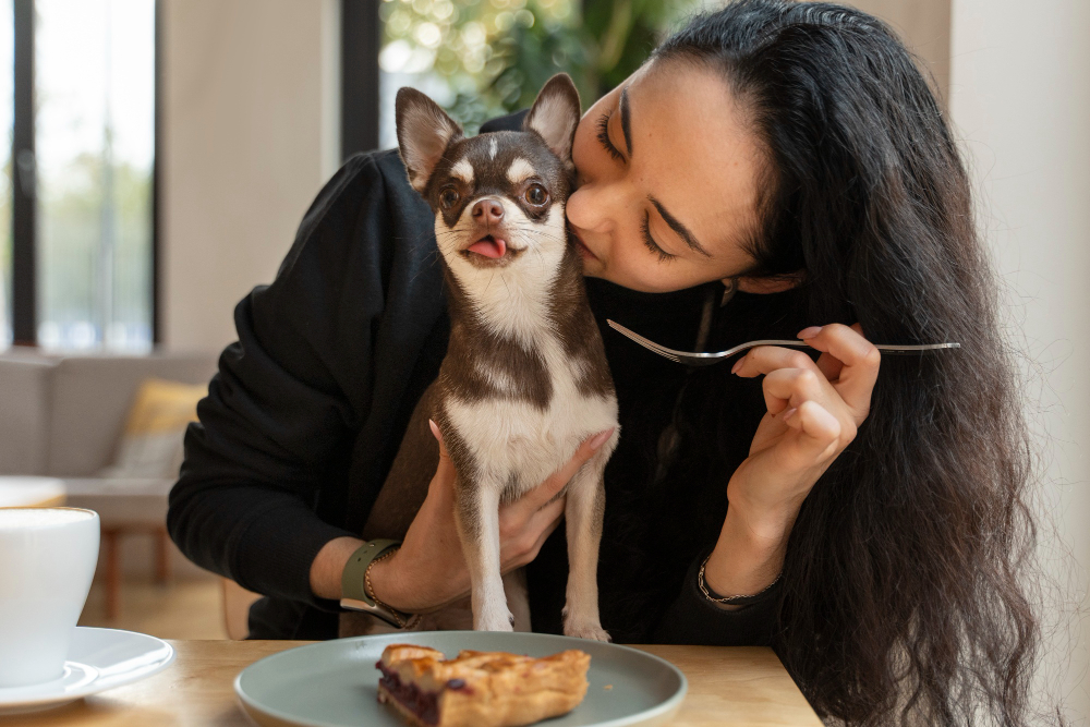 Seu cão gosta de ser tratado como filho? Sinais de quando o vínculo está indo longe