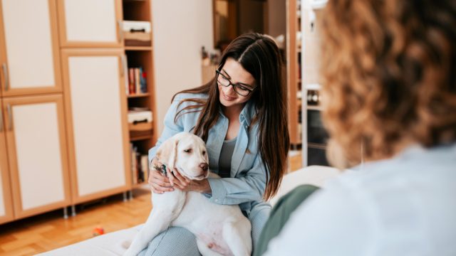 Saiba como o atendimento veterinário domiciliar está transformando o cuidado com os pets