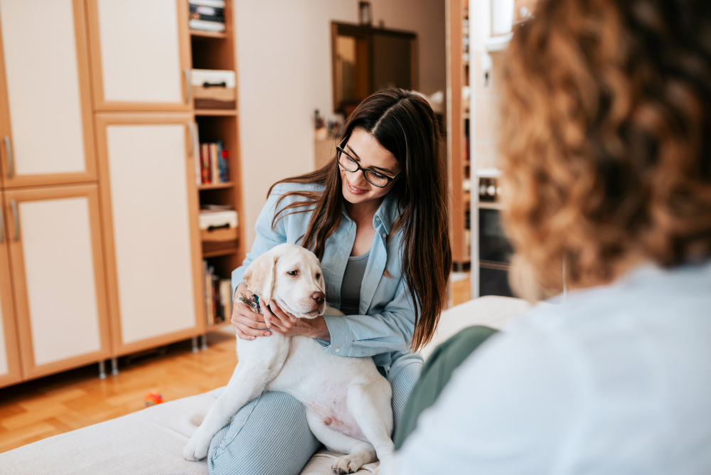 Saiba como o atendimento veterinário domiciliar está transformando o cuidado com os pets