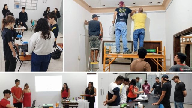 De Inteligência Artificial à Gastronomia: plataforma Trampolim abre 6 mil vagas em cursos gratuito