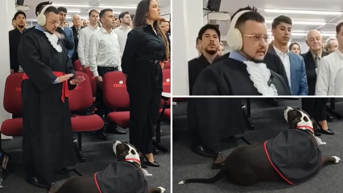 Cão de assistência prevê crise sensorial em colação de grau e age com rapidez