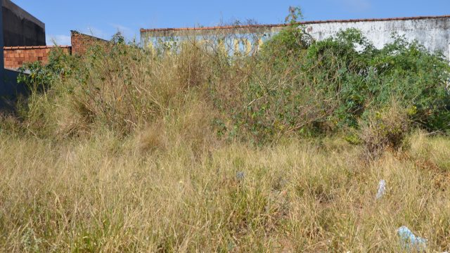 Terreno sujo em Franca? Vigilância notifica donos e multa pode ultrapassar R$ 1,7 mil