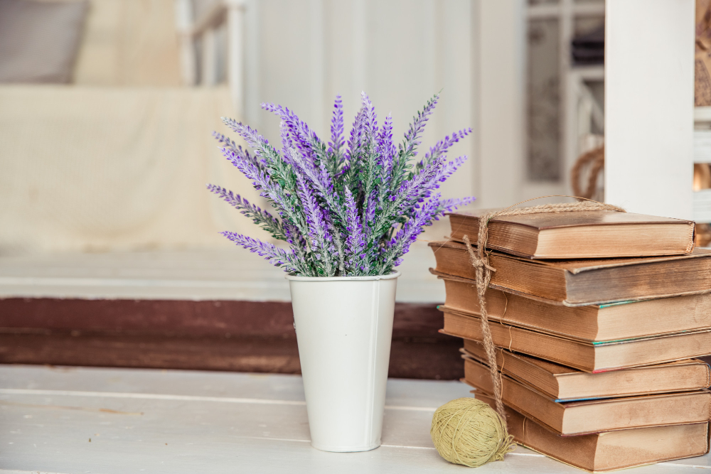 Lavanda: Aprenda como plantar e cultivar para deixar a casa mais cheirosa