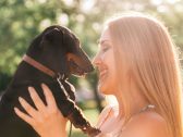 Cães conseguem entender várias expressões faciais e emoções humanas, diz estudo