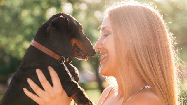 Cães conseguem entender várias expressões faciais e emoções humanas, diz estudo
