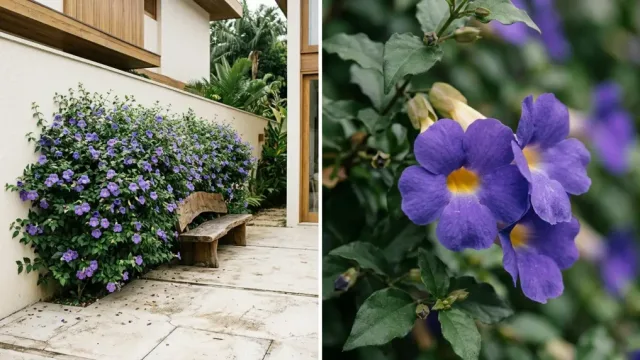 Veja plantas para criar uma cerca viva com flores que crescem rápido e deixam o quintal bonito