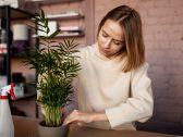 Plantas dentro de casa podem agravar alergias? Veja os cuidados na primavera