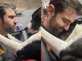 Câmera flagra amizade entre frentista e vira-lata e vídeo dispara nas redes
