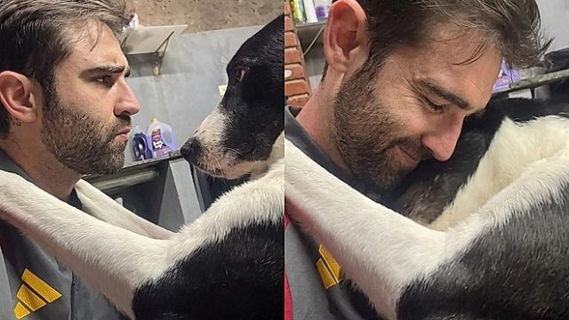 “Cê é meu amigo?”: Cachorro vira-lata responde a seu tutor com abraço e cena derrete corações