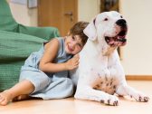 Dia das Crianças: convivência com pets pode ensinar cuidado, empatia e comunicação