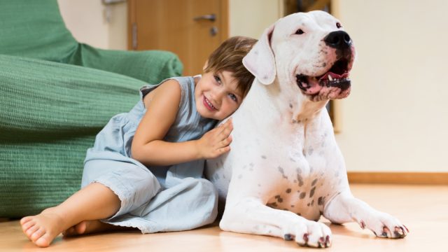 Dia das Crianças: convivência com pets pode ensinar cuidado, empatia e comunicação